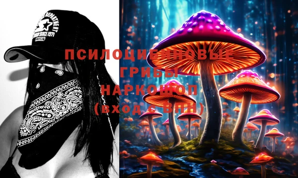 эйфоретик Краснослободск