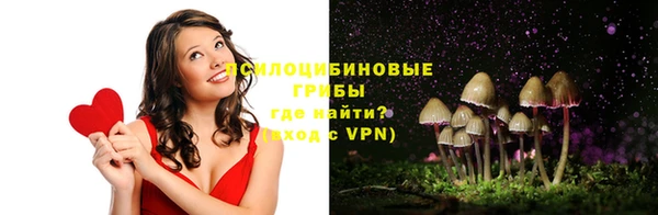 сатива Кодинск