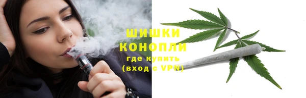 гидра Костерёво