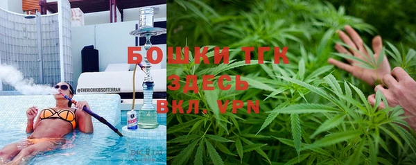 эйфоретик Краснослободск