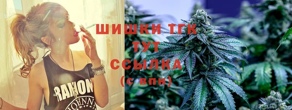 эйфоретик Краснослободск